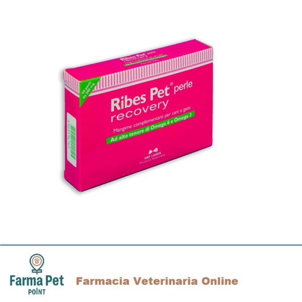 Ribes Pet Perle