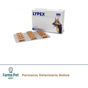 Lypex 60 Capsule