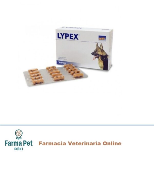 Lypex 60 Capsule